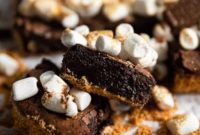 Easy and Fudgy Smores Brownies