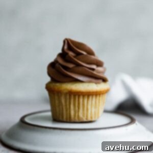 A vanilla cupcake topped with chocolate frosting.