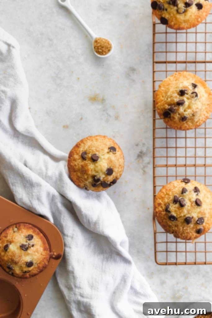 Decadent Dairy-Free Chocolate Chip Muffins 2 Homemade dairy-free chocolate chip muffins cooling on a wire rack against a marble countertop, showcasing their fluffy tops and golden-brown hue.