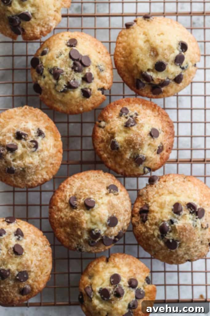 Decadent Dairy-Free Chocolate Chip Muffins 3 Golden-brown dairy-free muffins with visible chocolate chips resting on a wire cooling rack, ready to be enjoyed.