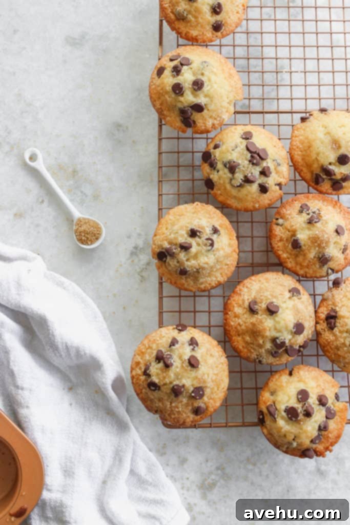 Decadent Dairy-Free Chocolate Chip Muffins 5 A close-up of golden-brown bakery-style dairy-free chocolate chip muffins on a wire cooling rack, topped with sparkling turbinado sugar.