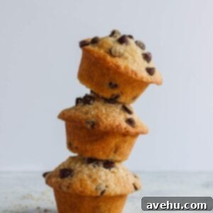 Decadent Dairy-Free Chocolate Chip Muffins 7 Classic chocolate chip muffins turned dairy free! They come together quickly and taste so good you wouldn't even know they are dairy free. #chocolatechipmuffins. Frostingandfettuccine.com