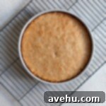 Aromatic Strawberry Basil Cake with Strawberry Buttercream 19 A freshly baked golden cake rests in a cake pan, cooling after being removed from the oven.