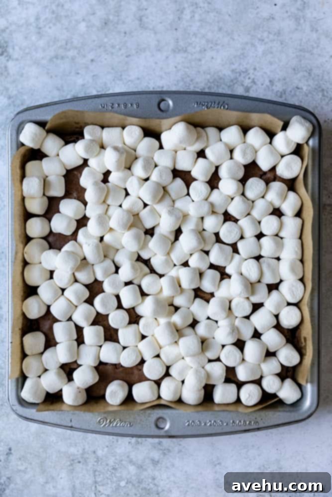Ultimate Marshmallow Brownie Indulgence 2 Toasted mini marshmallows generously layered on top of warm, freshly baked fudgy brownies in a square pan.