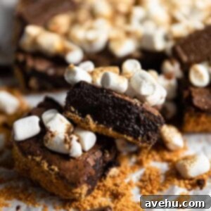 A s'mores brownie on an angle to show off the fudgy chocolate insides.