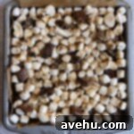 S'mores brownies in a brownie pan.