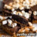 A s'mores brownie on an angle to show off the fudgy chocolate insides.