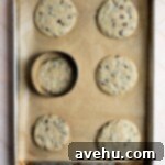 Simple Chocolate Chip Cookies No Brown Sugar Required 7 6 chocolate chip cookies on a cookie tray with a cookie cutter over one of the cookies.