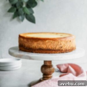 5 tips to make the perfect cheesecake! Follow my tips and you'll be smacking your lips in no time. #classiccheesecake #cheesecake #cheesecakerecipe via frostingandfettuccine.com