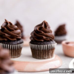 Decadent Chocolate Fudge Cupcakes 2 Chocolate fudge cupcakes on an overturned pink plate, ready for serving.