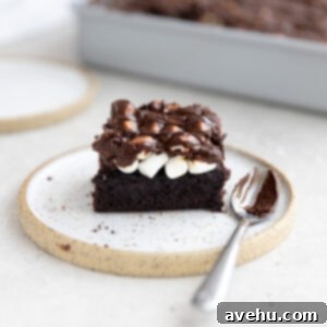 The Easiest Mississippi Mud Cake From Scratch 2 A slice of Mississippi Mud Cake on a small plate with a spoon next to it.