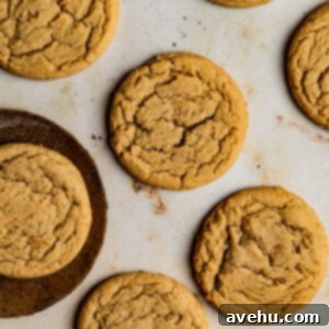 Easy 20 Minute Chip Free Chocolate Cookies 2 Cookies without chocolate chips on a beige surface.