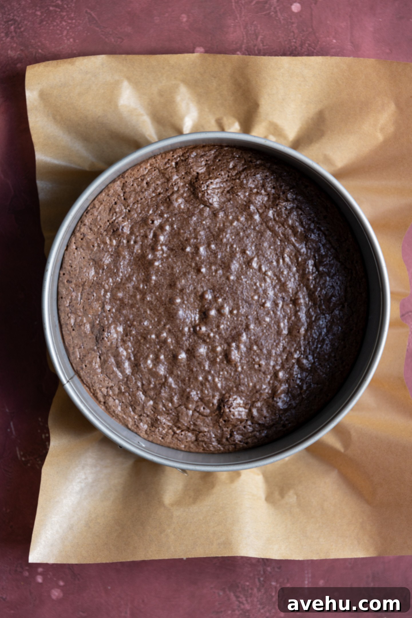 Velvet Chocolate Mousse Cake No Gelatin Needed 7 The baked bottom layer of a chocolate mousse cake.