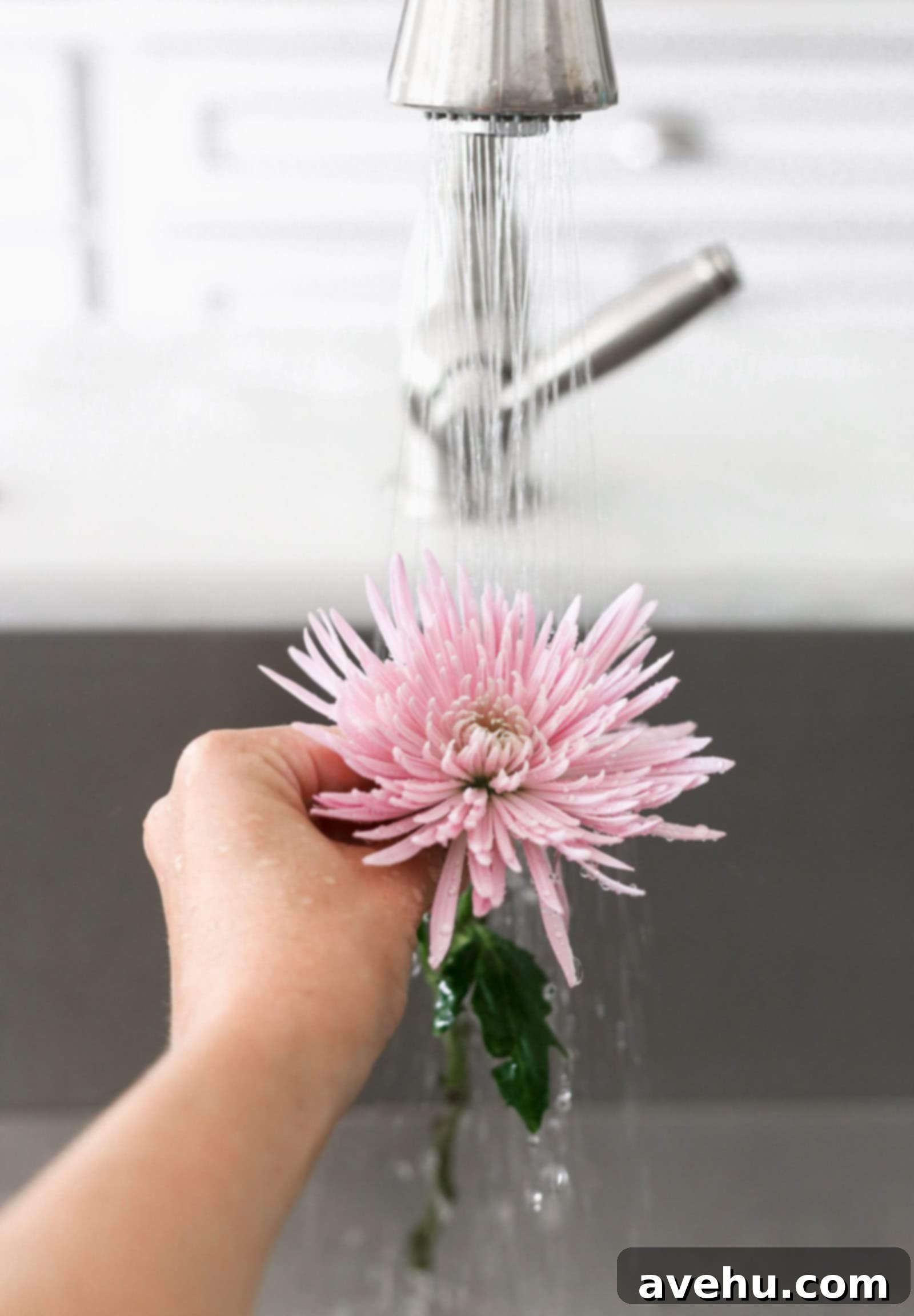 Elegant Floral Cake Designs Made Easy 2 A close-up shot of a purple flower being gently washed under running water in a sink, highlighting the importance of cleaning flowers before cake decoration.