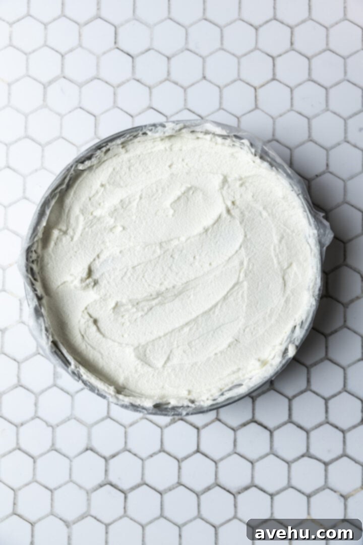 No-Bake 4-Ingredient Chocolate Dream 9 A spring form pan with a layer of whipped cream on top.