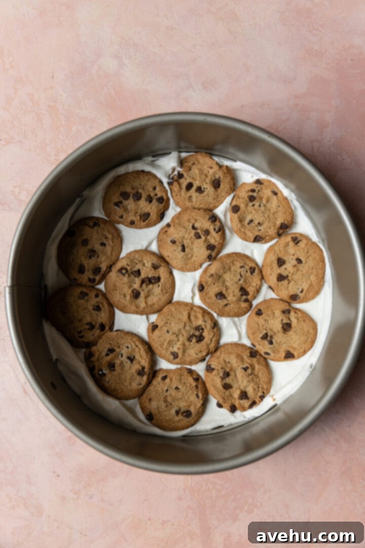Chilled Strawberry Cloud Cake 7 A layer of thin chocolate chip cookies perfectly arranged on top of whipped cream in a springform pan, forming the next layer of the icebox cake.