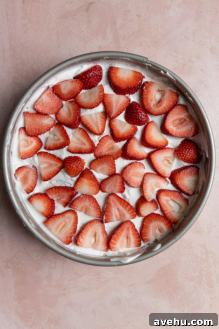 Chilled Strawberry Cloud Cake 9 A close-up shot of thinly sliced strawberries arranged towards the perimeter of a round pan, maximizing space for an abundant fruit layer.