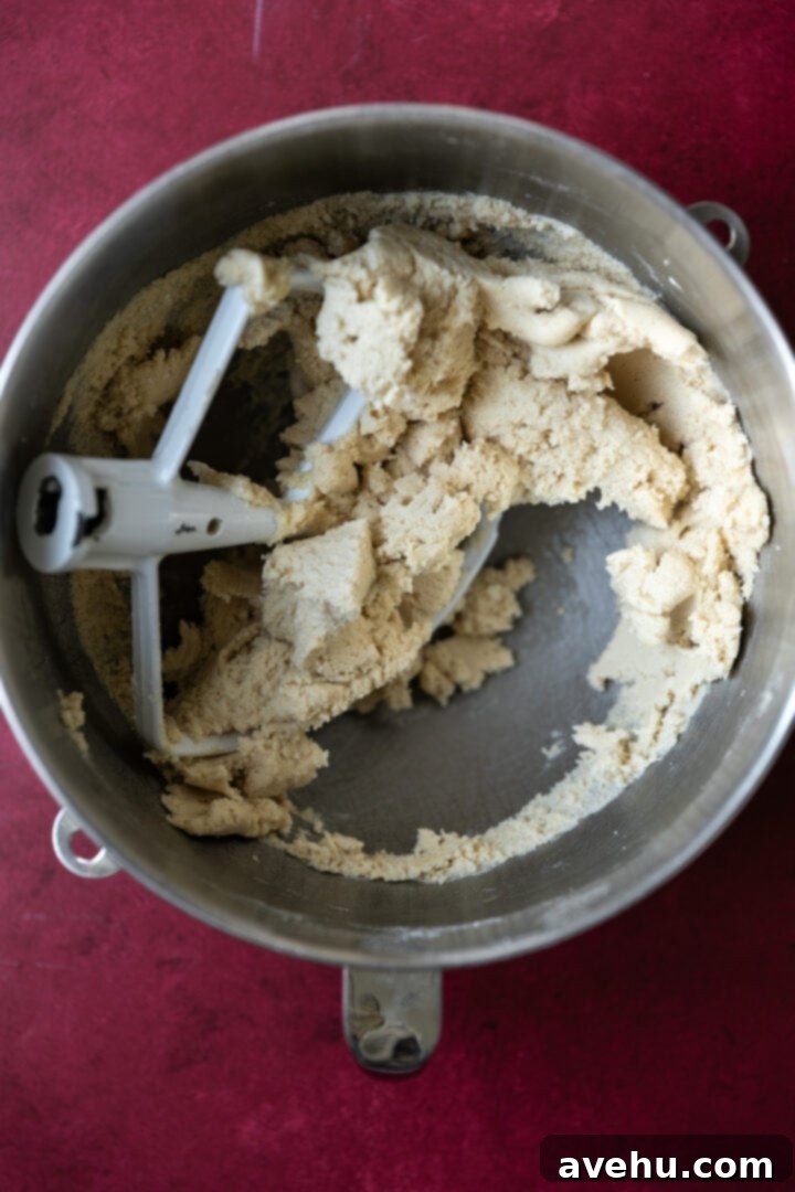 Instant Cut-Out Sugar Cookies 6 Smooth, non-sticky cookie dough in a mixing bowl.