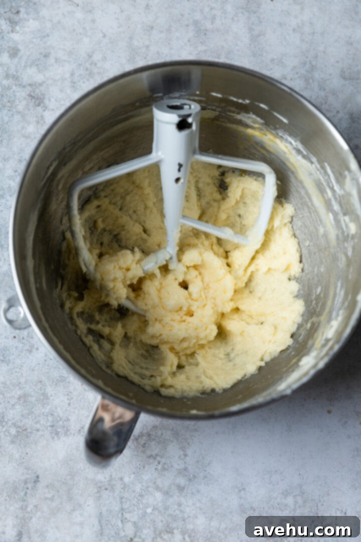 Instant Chocolate Sugar Cookie Delight 5 Light and airy creamed sugar, butter, and eggs in a mixing bowl with the paddle attachment, showing the perfectly incorporated wet ingredients.