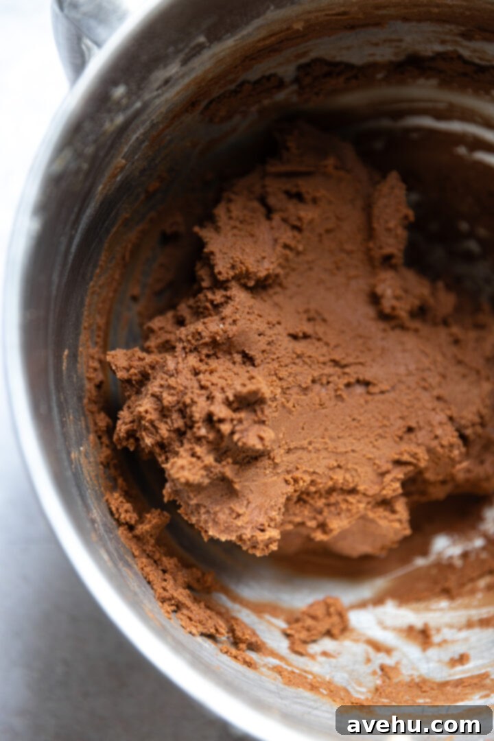 Instant Chocolate Sugar Cookie Delight 6 Developing chocolate sugar cookie dough clumping together in a mixing bowl, indicating it's almost fully mixed.