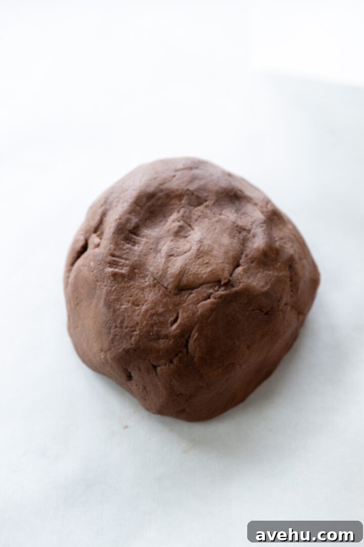 Instant Chocolate Sugar Cookie Delight 7 Smooth and pliable chocolate sugar cookie dough resting on a piece of parchment paper, perfectly kneaded and ready for rolling.