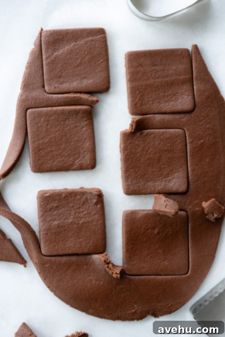 Instant Chocolate Sugar Cookie Delight 9 Square cookie cutter shapes pressed into rolled chocolate cookie dough on parchment paper, with excess dough ready to be peeled away.
