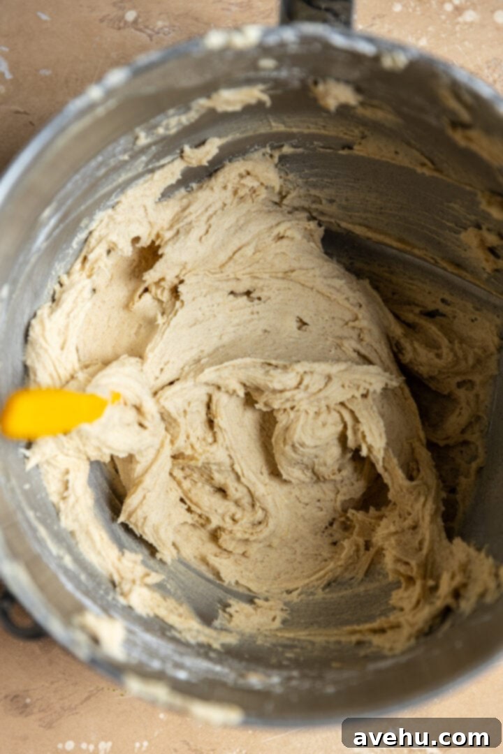 Cinnamon Sugar Chews in Minutes 5 Smooth, thick cookie dough for cinnamon sugar cookies in a mixing bowl, ready for dry ingredients.