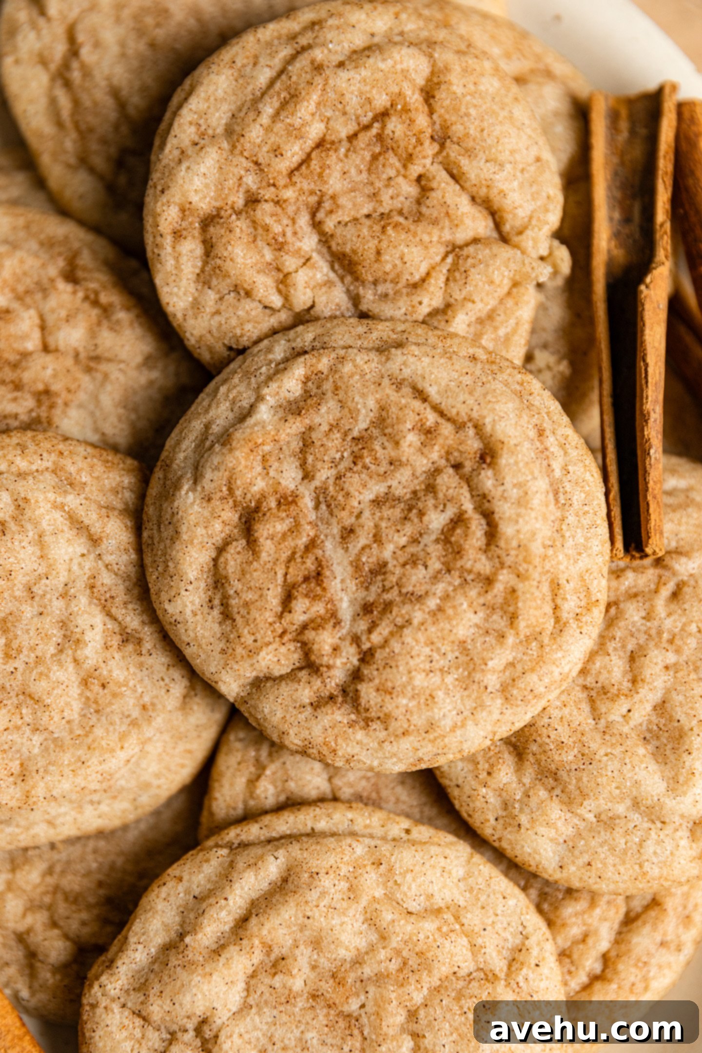 Cinnamon Sugar Chews in Minutes 7 A close-up of a perfectly round, crinkly-topped cinnamon sugar cookie stacked on others, with a cinnamon stick nearby.