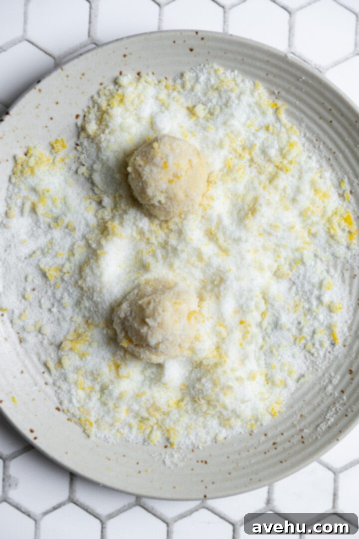 Zesty No-Chill Lemon Sugar Cookies 7 Cookie dough balls rolled in sugar in a bowl with lemon zest added.