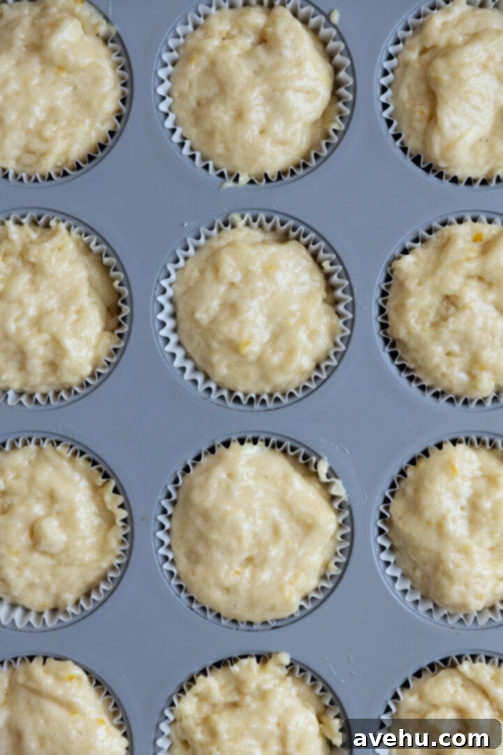 Gourmet Triple Lemon Muffins 9 Lemon muffin batter scooped into a lined muffin tin, filled generously to the top of each cup.