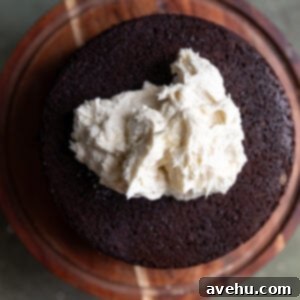 A chocolate cake with white frosting on top.