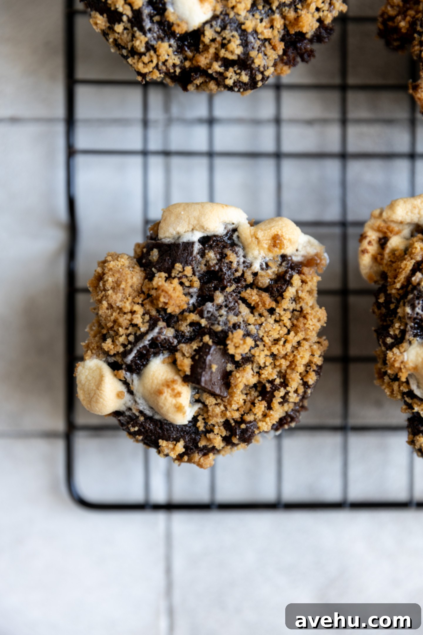 Melt-in-Your-Mouth S'mores Chocolate Muffins 9 Close-up of a perfectly baked S'mores muffin top, showcasing toasted marshmallows, melted chocolate, and golden graham cracker streusel.