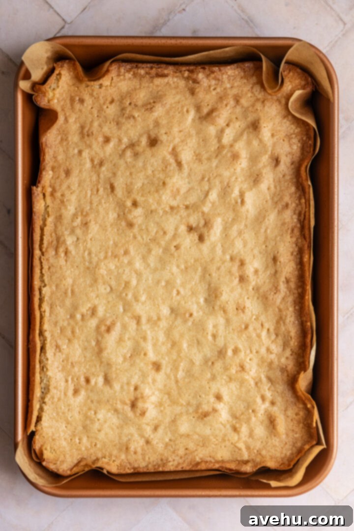 The Ultimate Vanilla Sheet Cake 9 A golden vanilla sheet cake baked in a 9x13 pan.