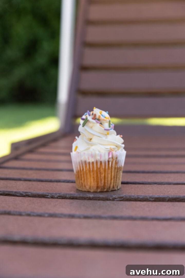 Seriously Addictive Swiss Meringue Buttercream 3 A vanilla cupcake with sprinkles on a chair.