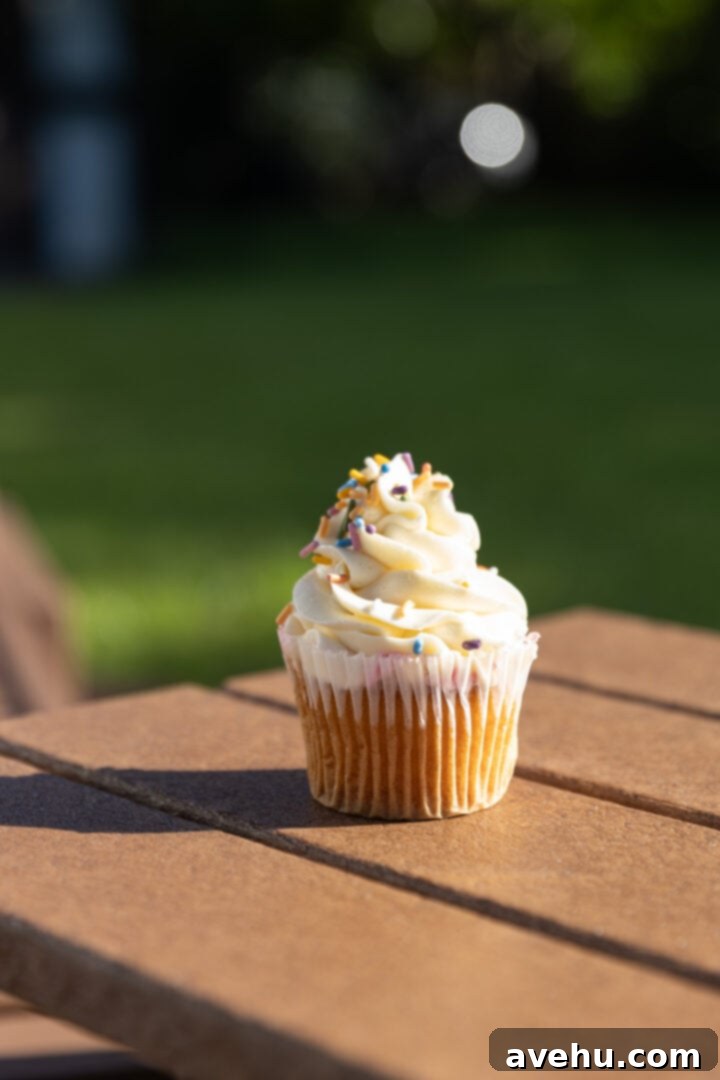 Seriously Addictive Swiss Meringue Buttercream 5 A vanilla cupcake with Swiss meringue buttercream in direct sunlight.