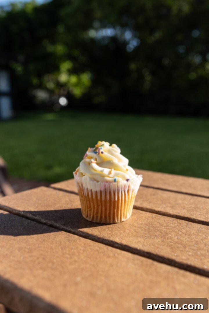 Seriously Addictive Swiss Meringue Buttercream 6 A melty vanilla cupcake in the direct sun.
