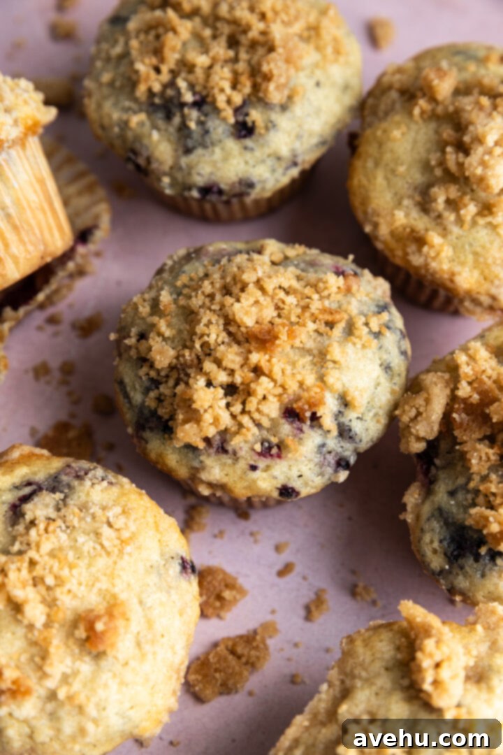 Crave-Worthy Blackberry Streusel Muffins 11 Baked blackberry streusel muffins arranged on a pink surface.