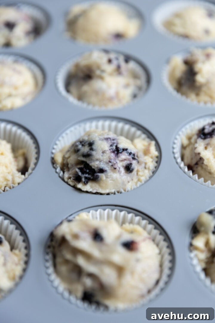 Crave-Worthy Blackberry Streusel Muffins 9 Blackberry muffin batter generously scooped into a muffin tin.