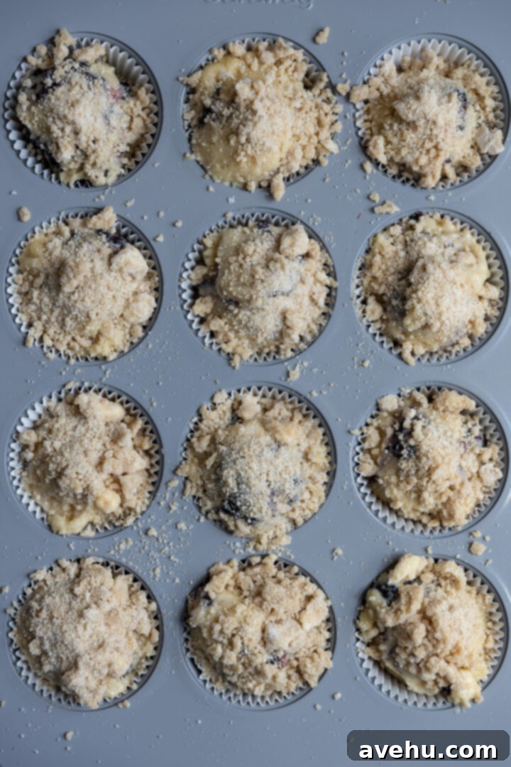 Crave-Worthy Blackberry Streusel Muffins 10 Blackberry muffin batter in a tin, generously topped with streusel crumbs.