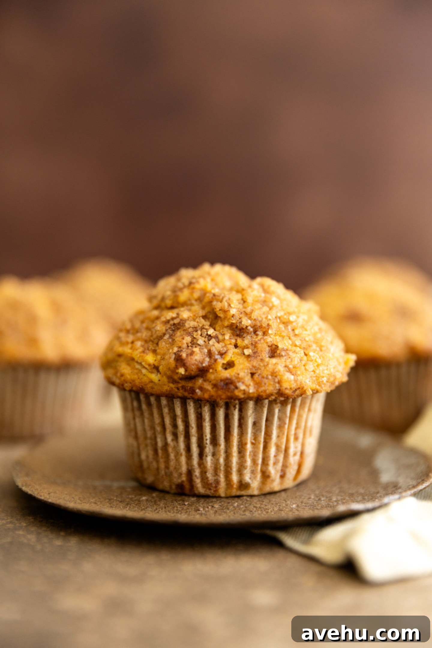 Bakery-Fresh Moist Pumpkin Banana Muffins 2 A perfectly baked banana pumpkin muffin with a golden cinnamon-sugar topping rests on a rustic brown plate, showcasing its fluffy texture.