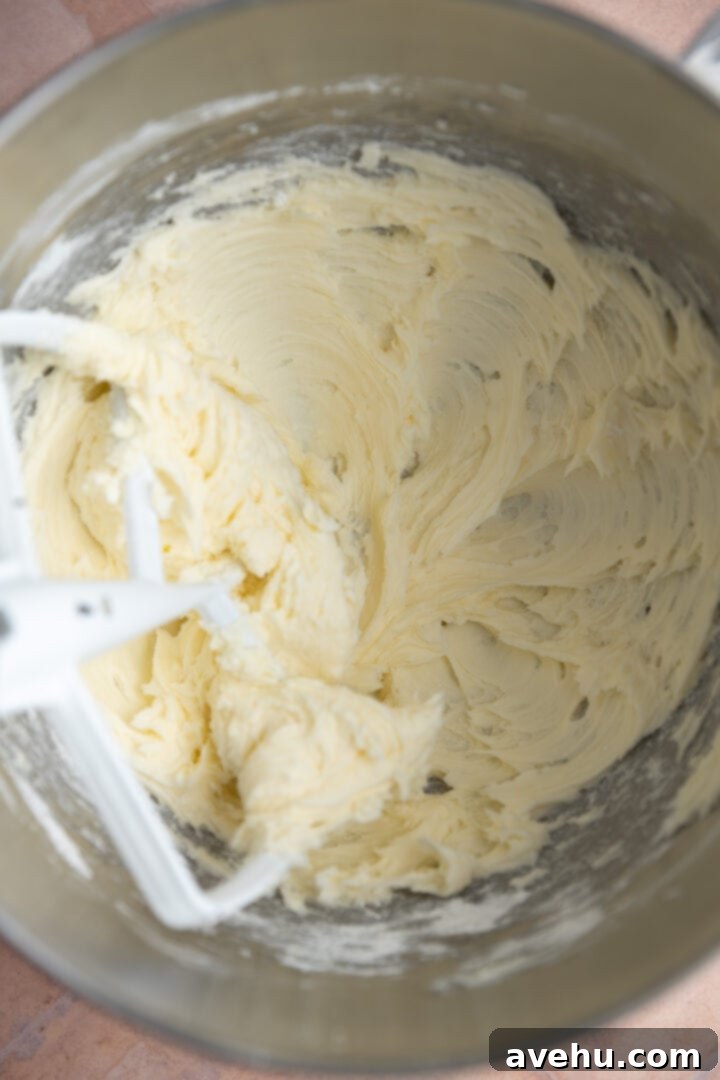 Lush 5-Minute Cookie Butter Frosting 4 The butter and powdered sugar are partially creamed together in a mixing bowl, showing a smooth, cohesive texture developing.