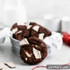 Rich Chocolate Peppermint Chewies 2 Double chocolate peppermint cookies sitting in a tin on a grey food photography background.