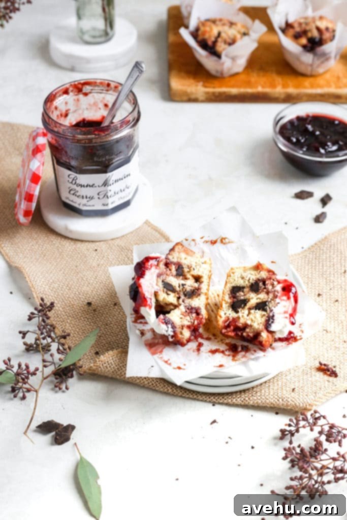 Nutty Butter Dark Cherry Chocolate Muffins 4 A freshly baked cherry muffin, studded with glistening dark chocolate chips, has been carefully split open on a piece of parchment paper, revealing its soft, moist interior and pockets of rich cherry preserves.