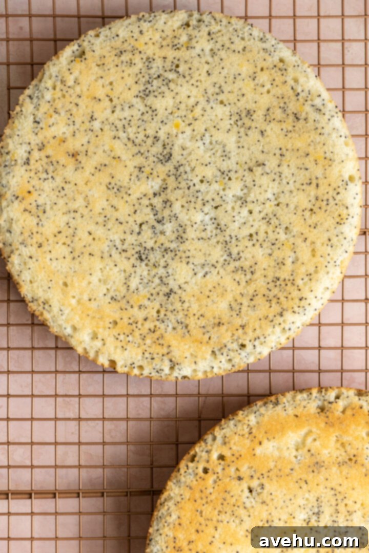Sunshine Lemon Poppyseed Yogurt Layer Cake 9 Three golden-brown lemon poppy seed cake layers cooling on a wire rack.