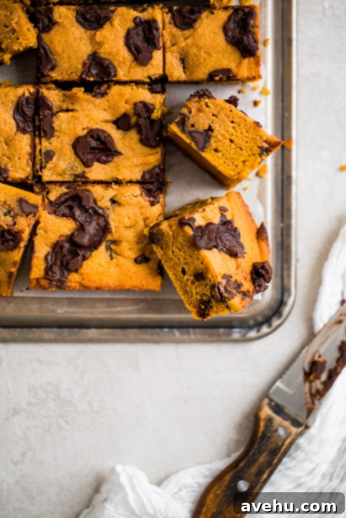 Pumpkin Chocolate Chunk Delights 5 Freshly baked pumpkin bars, neatly cut into squares and laid out on an upside-down sheet tray or cooling rack, showcasing their moist interior and melted chocolate.