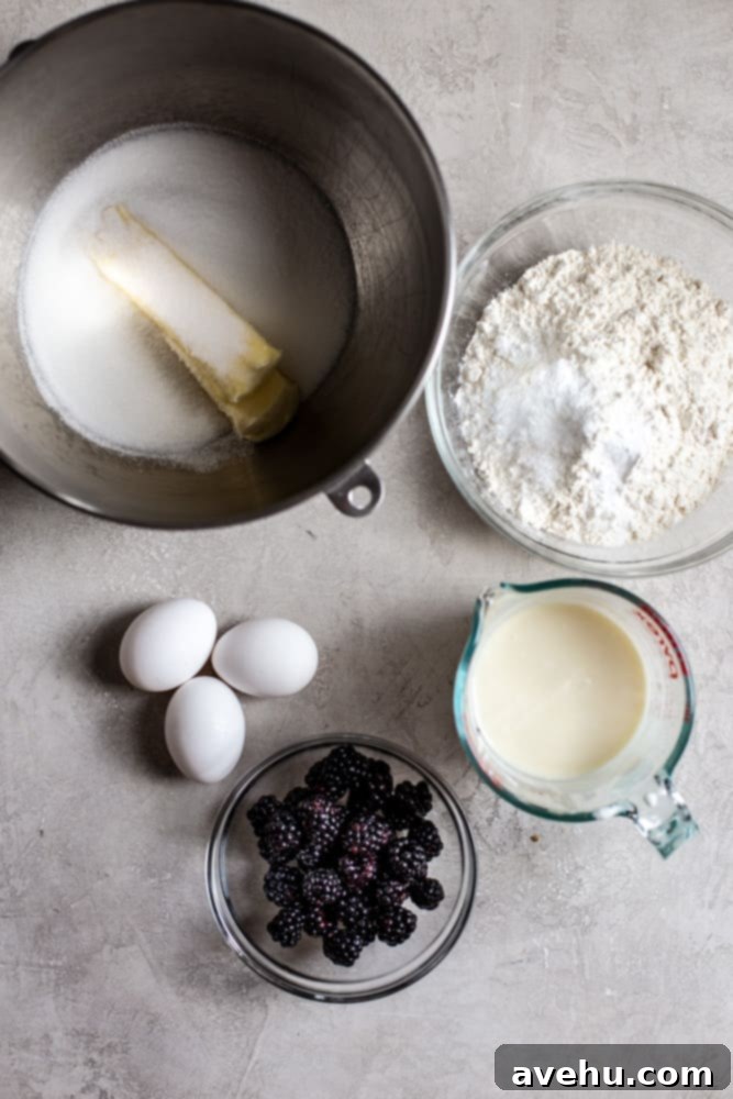 Effortless and Perfectly Moist Blackberry Cake 3 A mixing bowl with butter and sugar on a gray background next to a bowl of flour, 3 eggs, a measuring cup with milk and a bowl of blackberries, showing ingredients for the homemade blackberry cake.