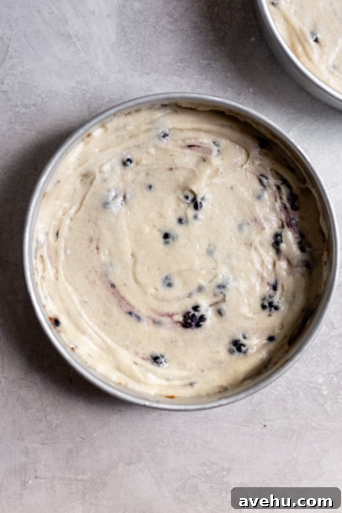 Effortless and Perfectly Moist Blackberry Cake 5 white cake batter in a cake pan, perfectly prepared for baking.