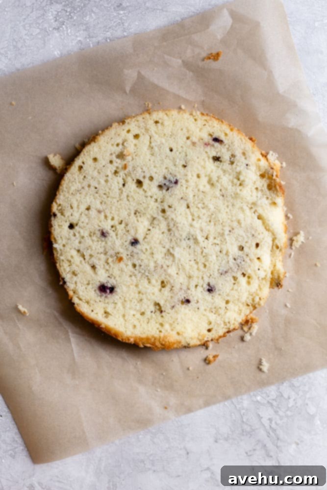 Effortless and Perfectly Moist Blackberry Cake 6 A yellow cake on brown parchment paper with the top leveled.