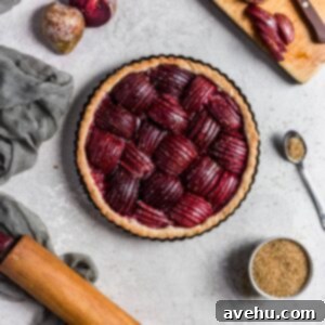 Effortlessly Elegant Plum Tart 6 A close-up of a rustic plum tart with neatly arranged, thinly sliced plums, capturing its inviting texture and golden crust.