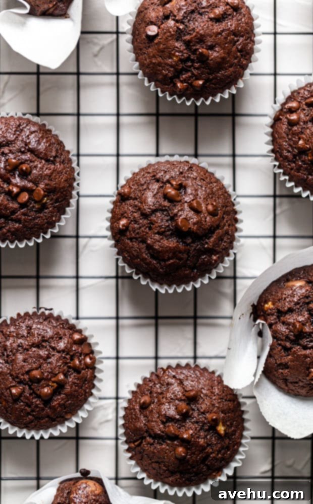 Ultimate Double Chocolate Banana Muffins 2 Chocolate banana muffins on a black wire rack, showcasing their rich color and inviting texture.